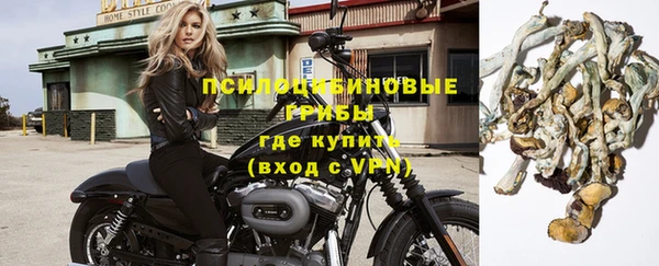 не бодяженный Абаза