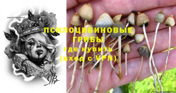 не бодяженный Абаза