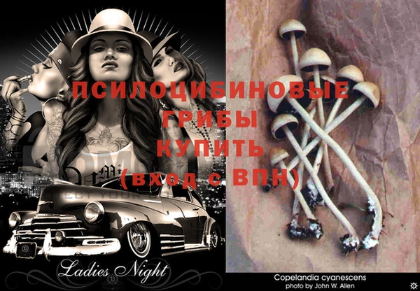 бутират Абинск