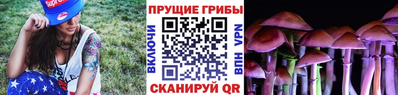 Галлюциногенные грибы Magic Shrooms  сайты даркнета формула  Усмань 
